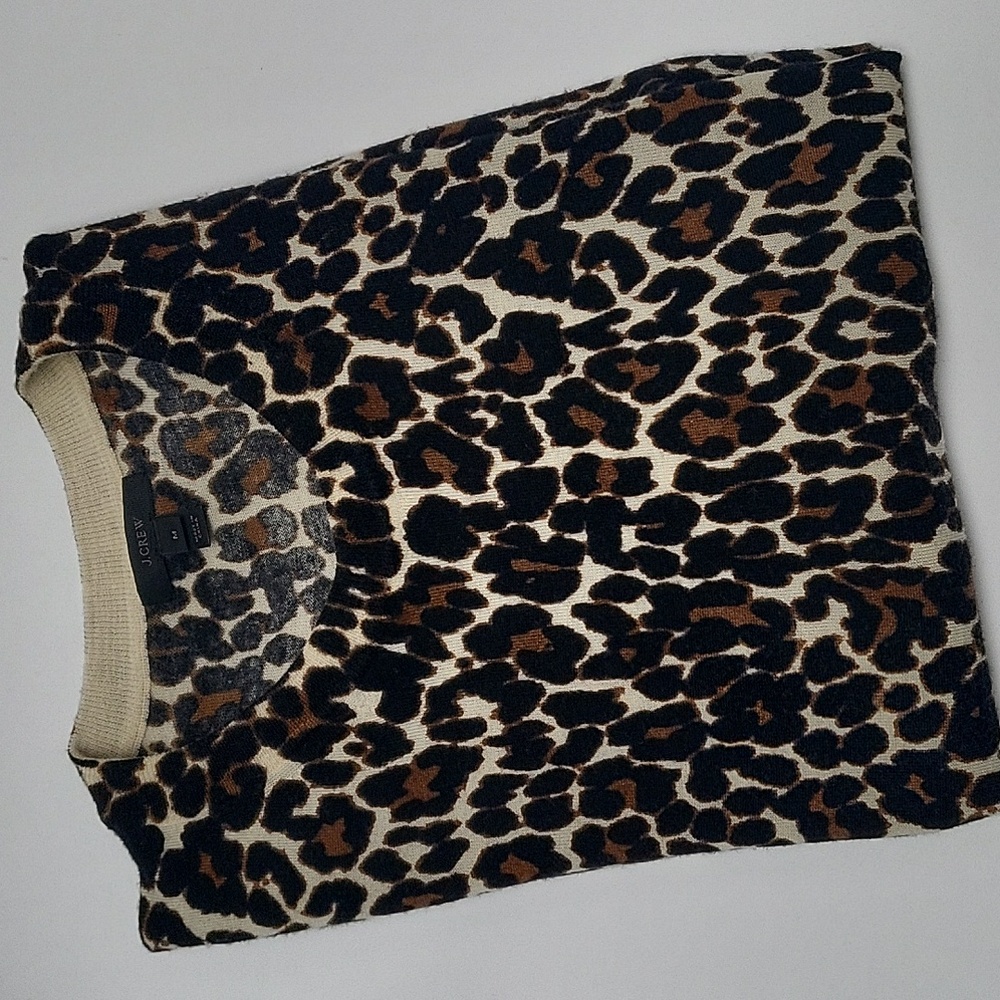 J. Crew | Merino Wool Sweater 🐆